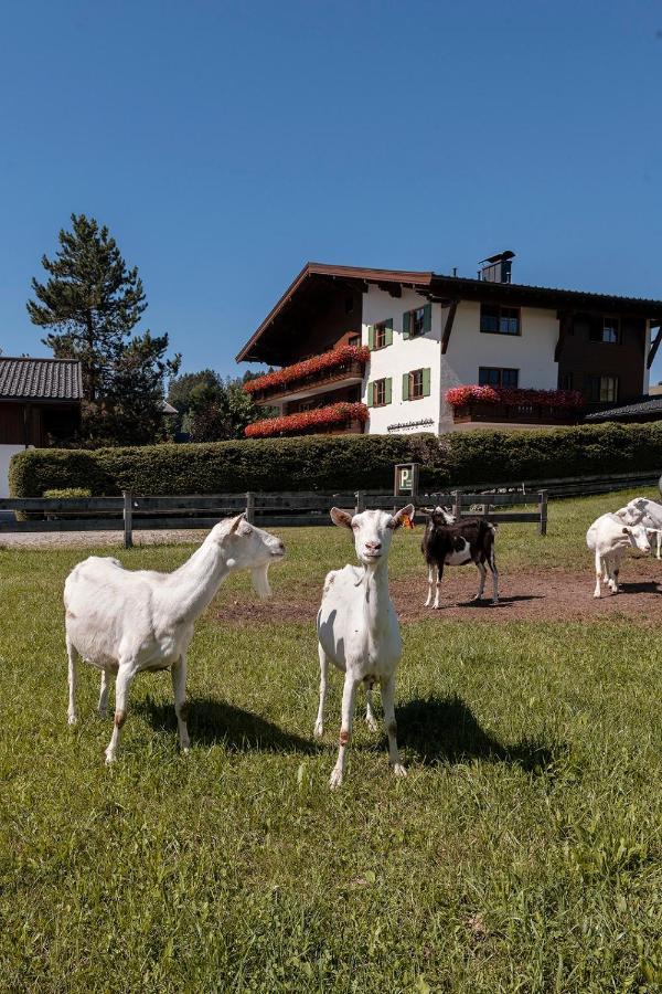 Gaestehaus Bramboeck Bad Häring Exteriör bild
